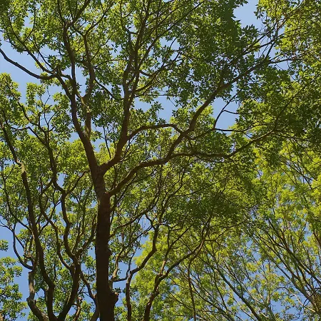 La Poudriere De Venant * Saint-Venant