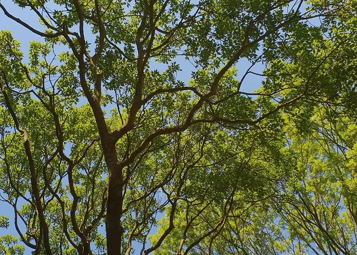 La Poudriere De Venant * Saint-Venant